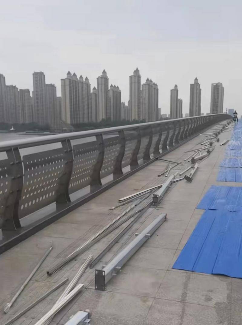 安徽蚌埠龙湖大桥因音乐节建铁皮围挡被指占用盲道 主办方：目前已拆除米乐m6(图3)