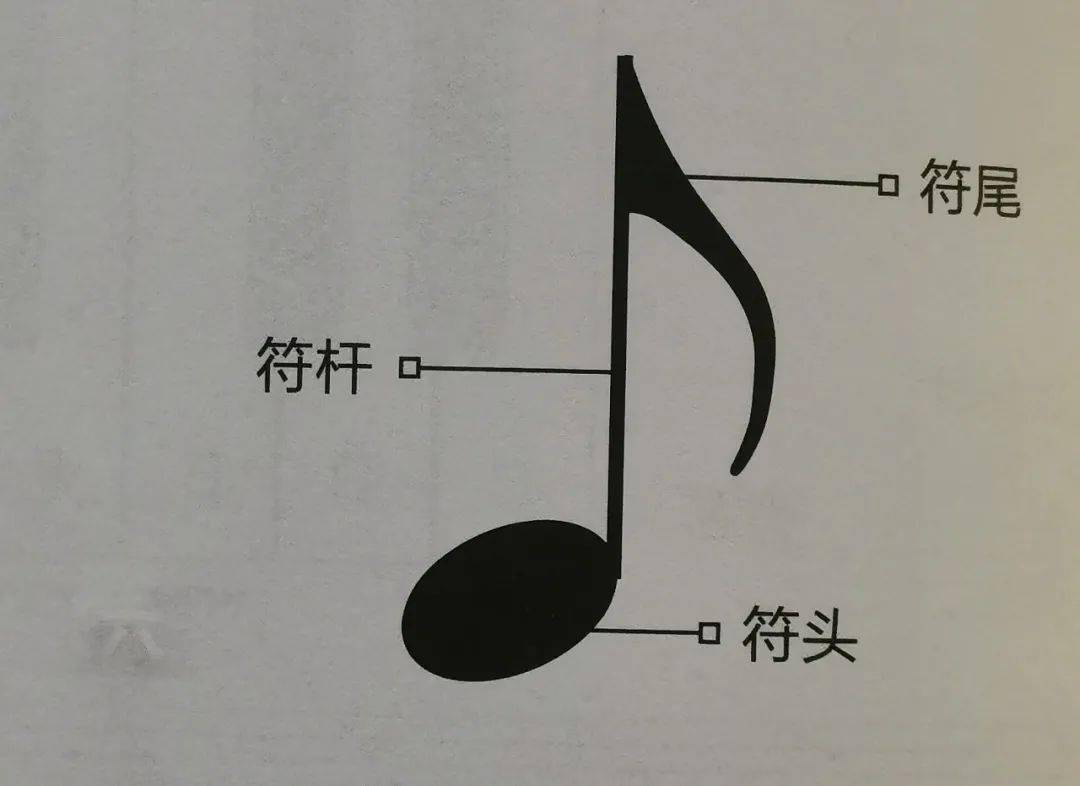 【干货爱游戏】五线谱符号大全钢琴初学者非常适用！(图1)